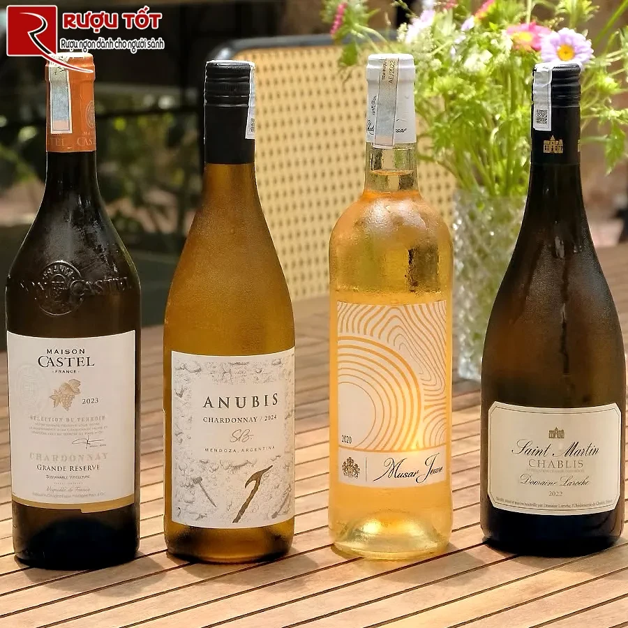 Rượu vang Musar Jeune Valle de la Bekaa Blanc