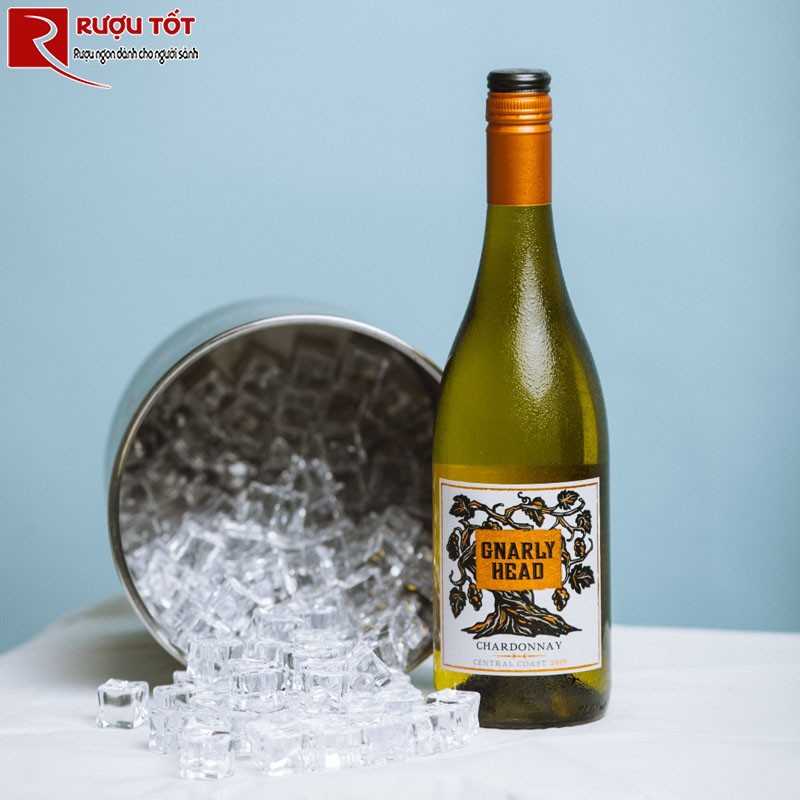 Gnarly Head Pinot Noir