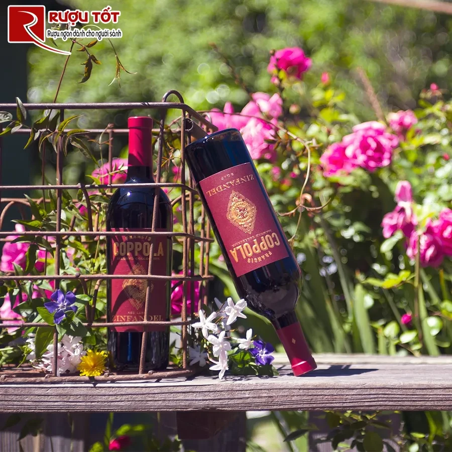 Rượu Coppola Diamond Collection Zinfandel
