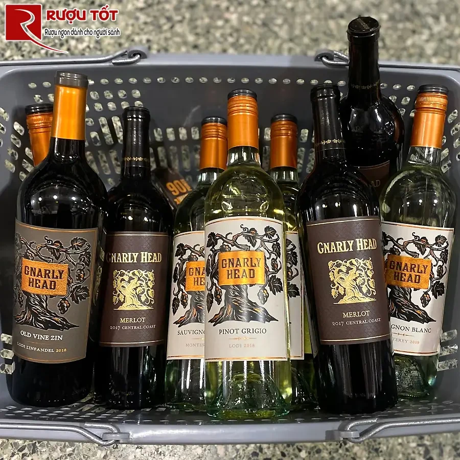 Rượu Gnarly Head Pinot Grigio California