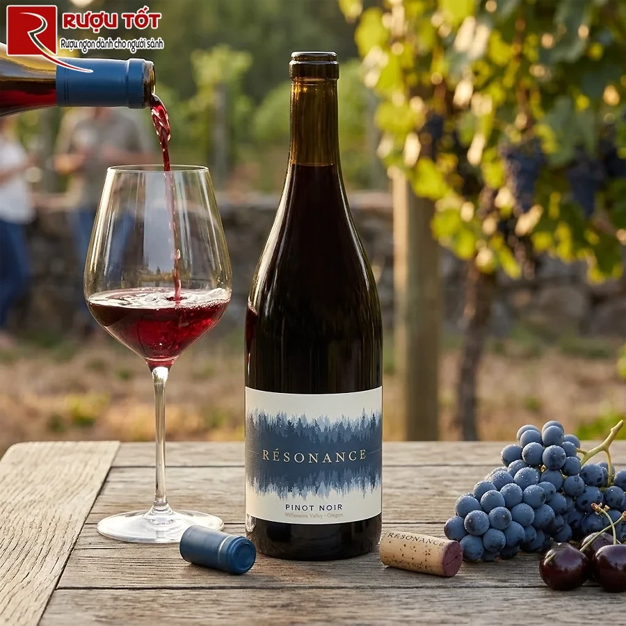 Rượu Mỹ Resonance Willamette Valley Pinot Noir