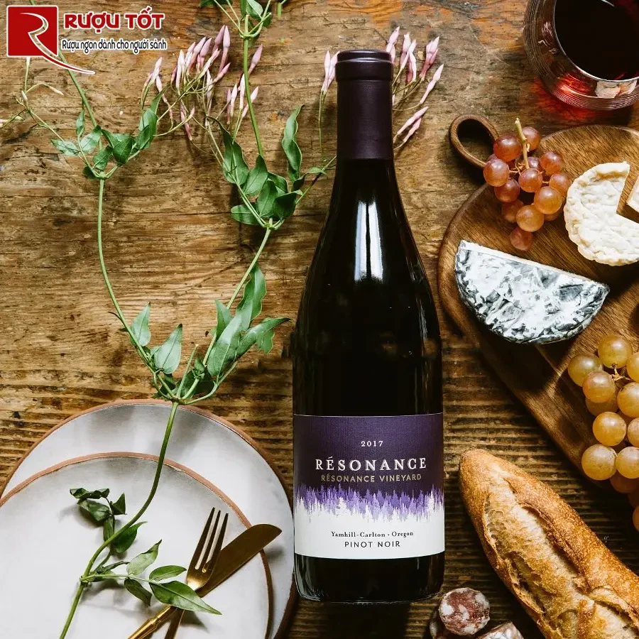 Rượu Mỹ Resonance Willamette Valley