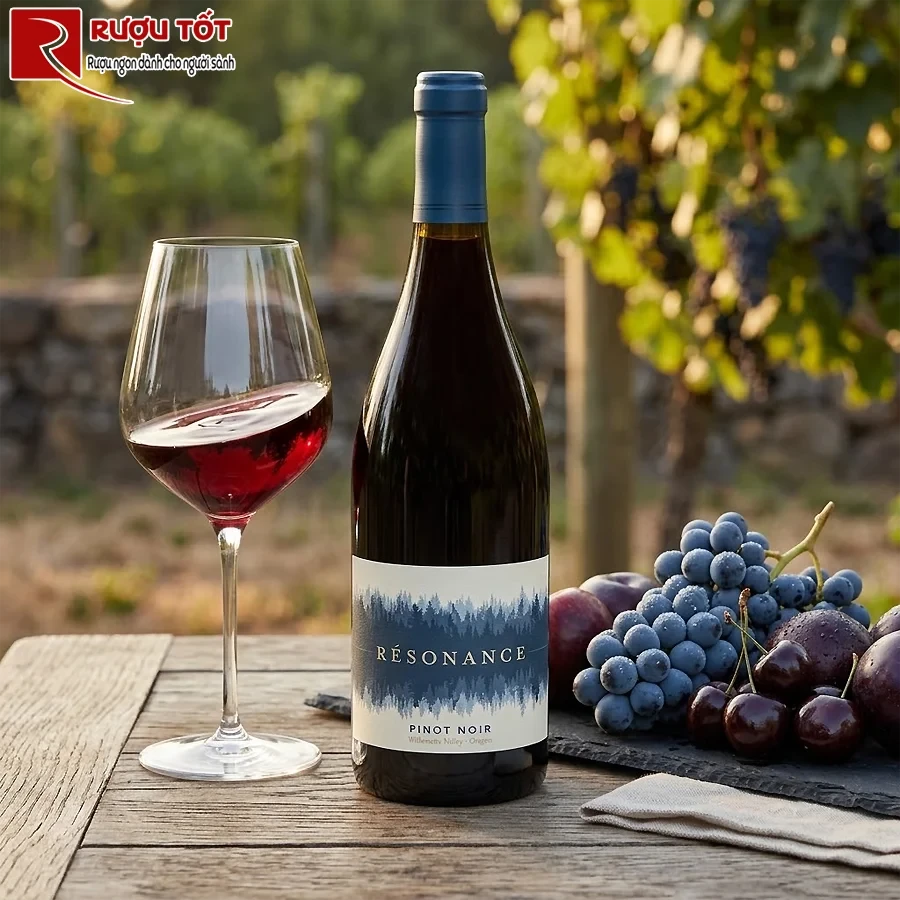 Rượu Resonance Willamette Valley Pinot Noir