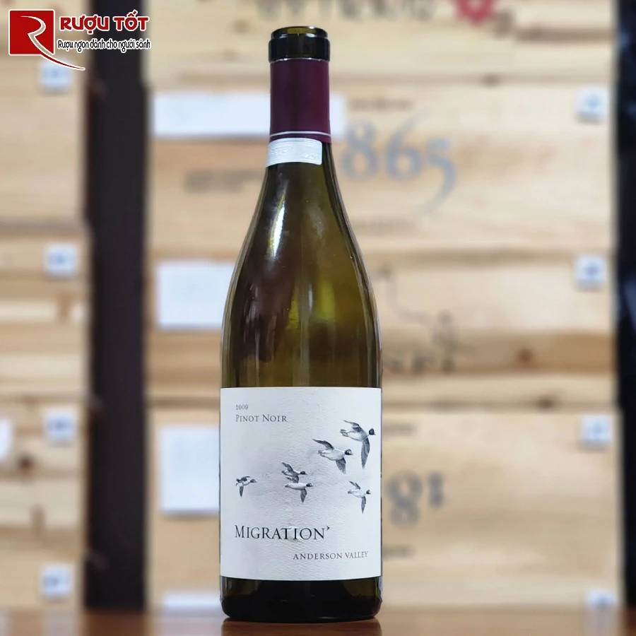 ruou vang migration sonoma coast pinot noir