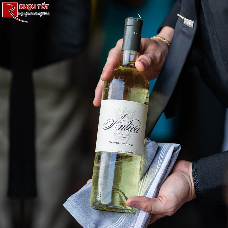 Rượu vang trắng Antica Sauvignon Blanc