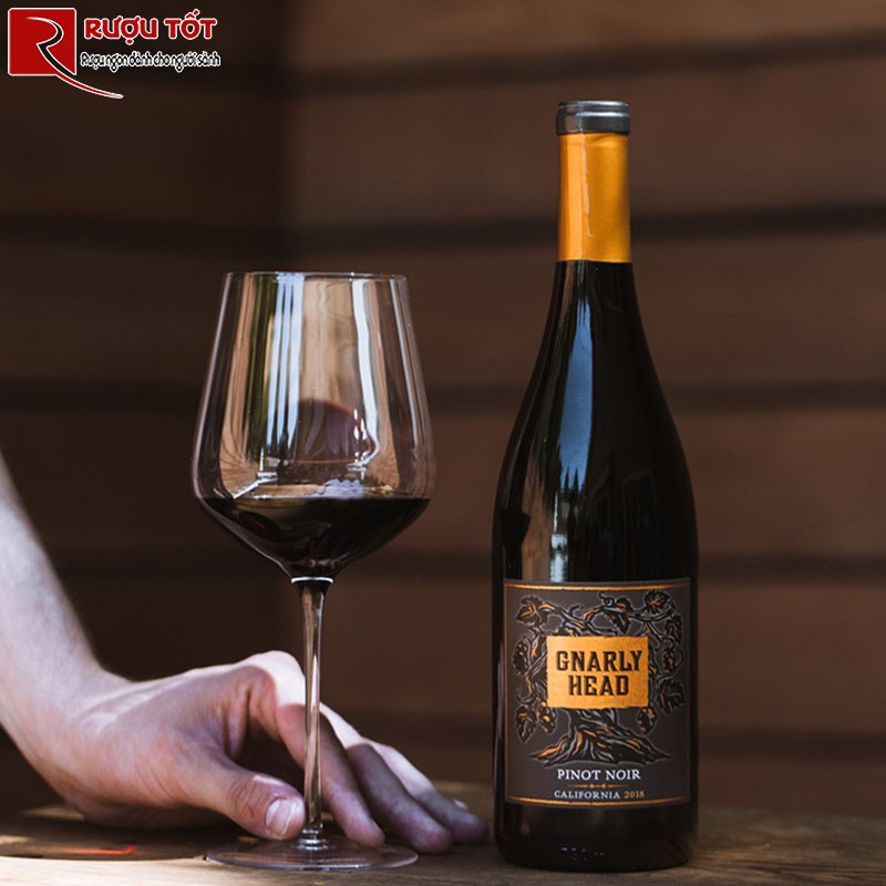 Vang Mỹ Gnarly Head Pinot Noir