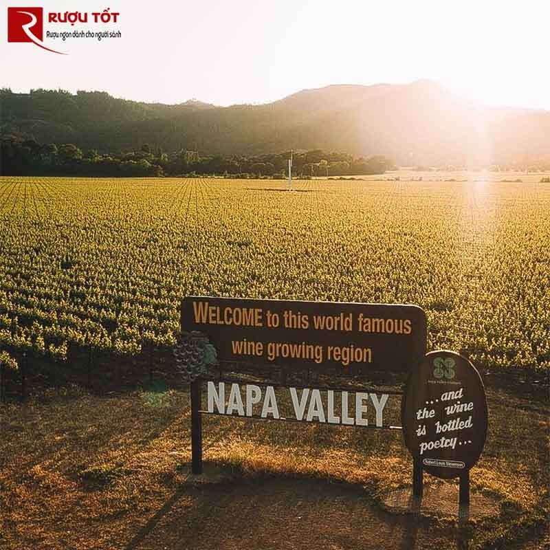 Vùng rượu vang Mỹ Napa Valley