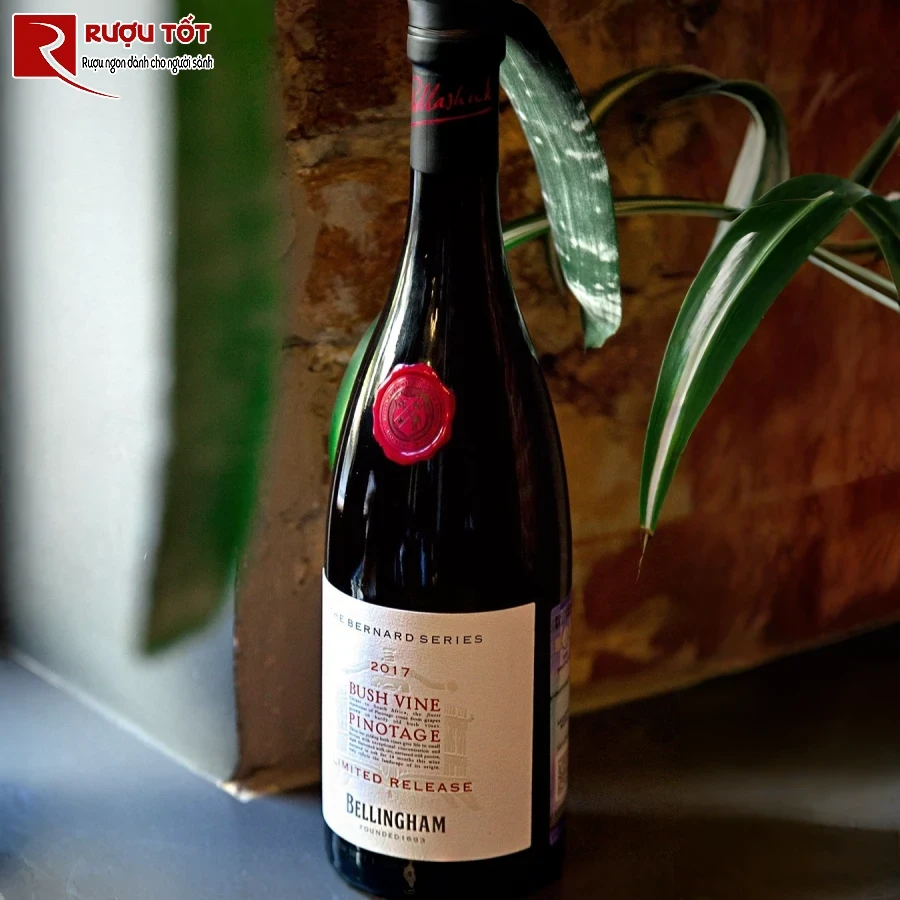 ruou bush vine pinotage bernard series nam phi cao cap