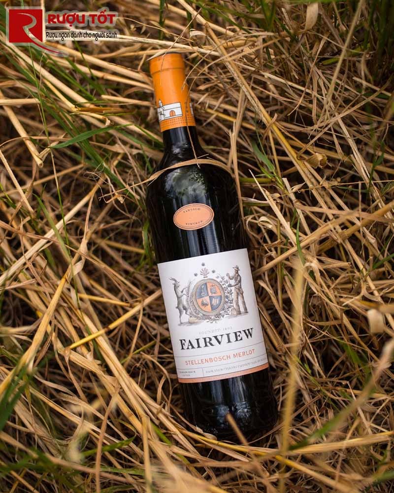 rượu vang Fairview Merlot