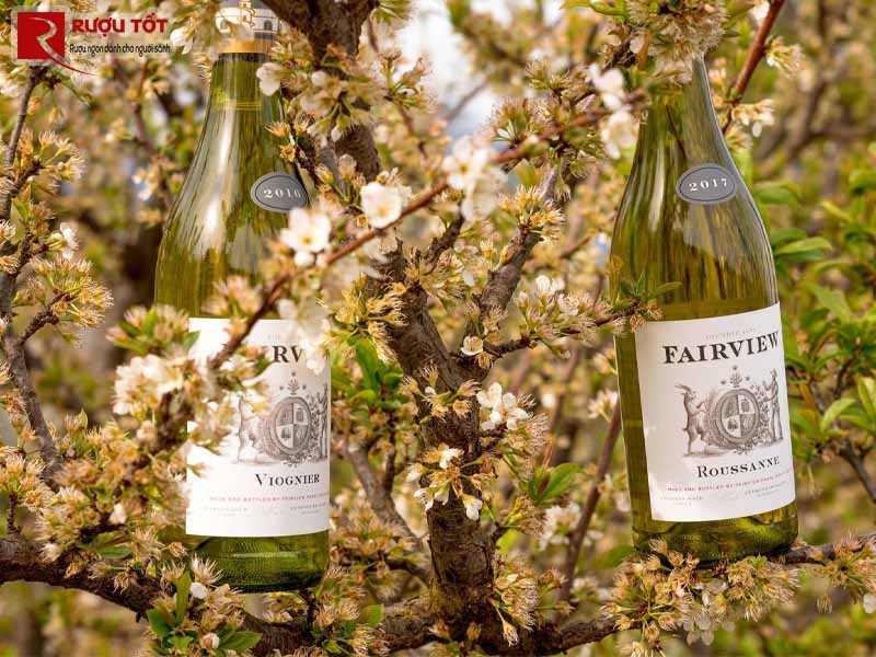 rượu vang Fairview Viognier