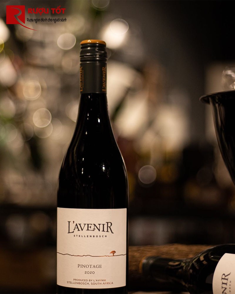 rượu vang L'Avenir Pinotage Horizon Stellenboch