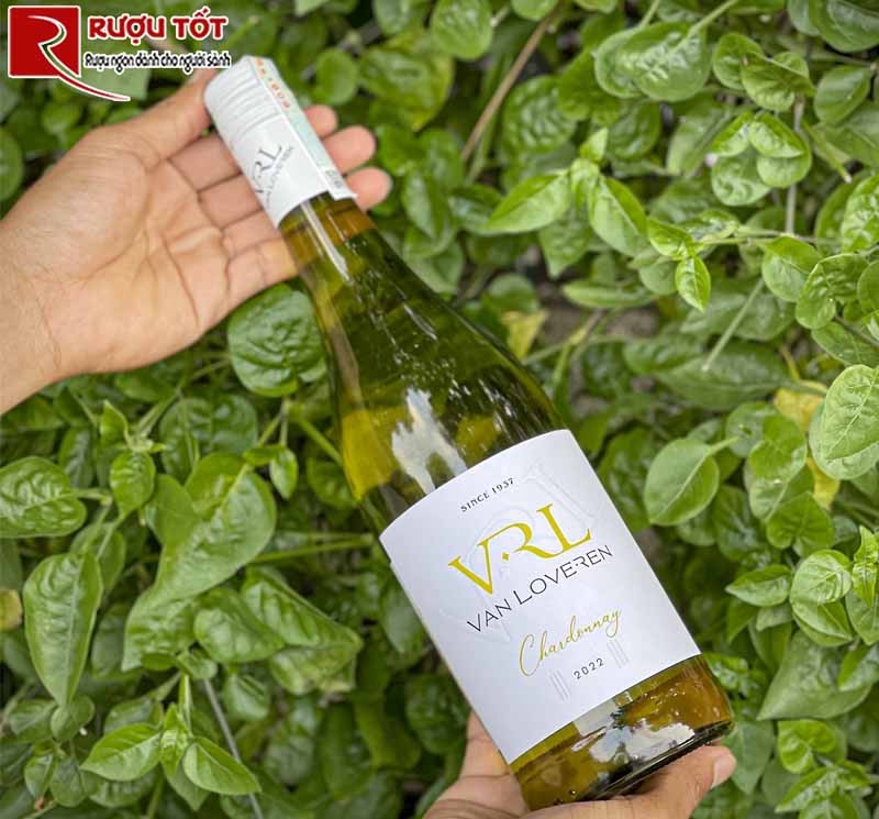 Rượu vang Van Loveren Chardonnay