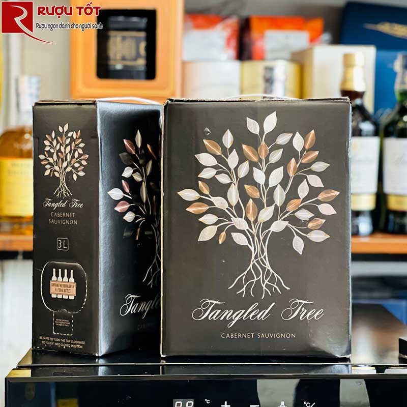 vang bịch tangled tree nam phi