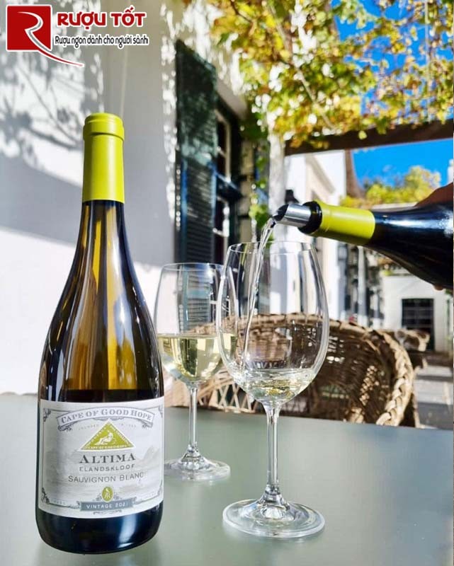 vang nam phi Altima sauvignon blanc