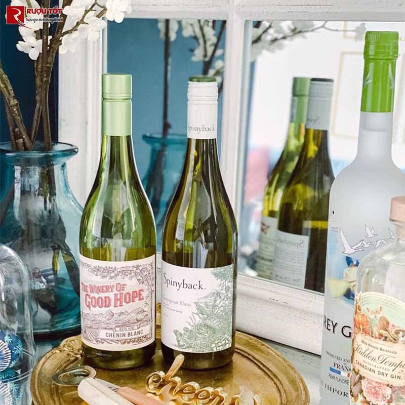 Vang trắng The Winery of Good Hope Chenin Blanc