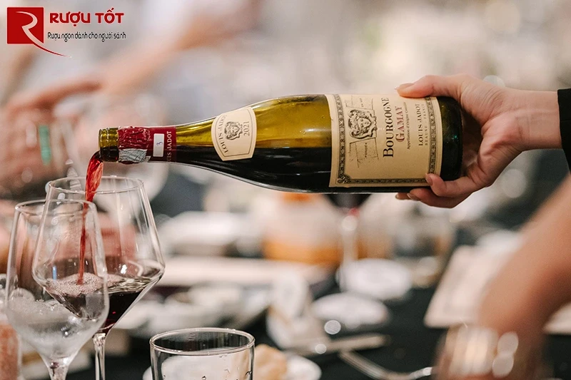 bourgogne gamay louis jadot