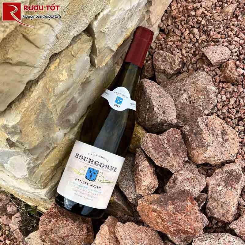 Cave de Lugny Bourgogne