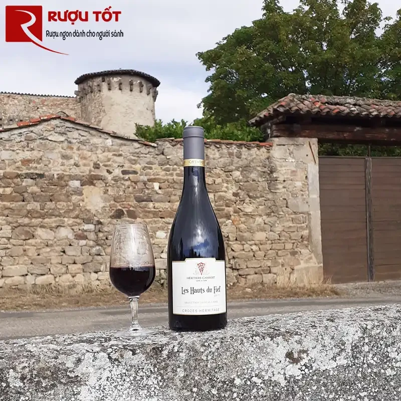 cave de tain les hauts du fief crozes hermitage