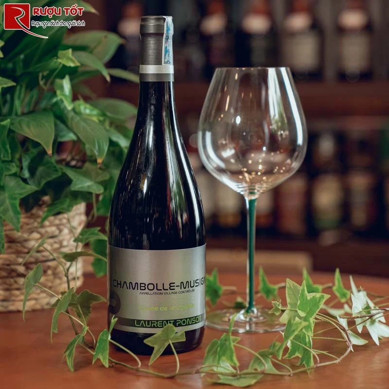 chambolle musigny laurent ponsot cuvee de la violette
