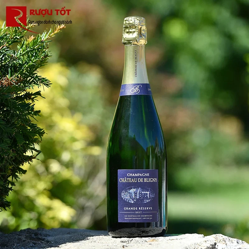 champagne chateau de brigny gran reserve