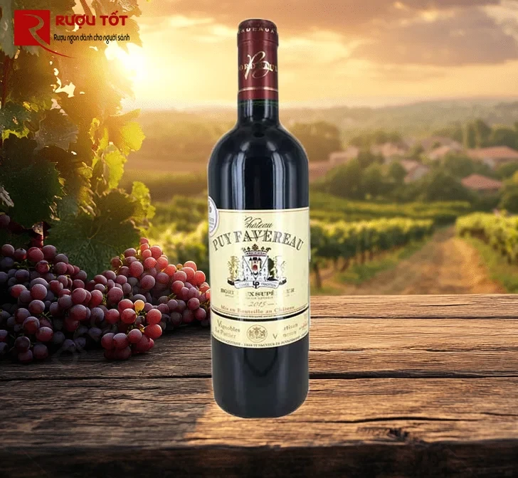 chateaau puy favereau