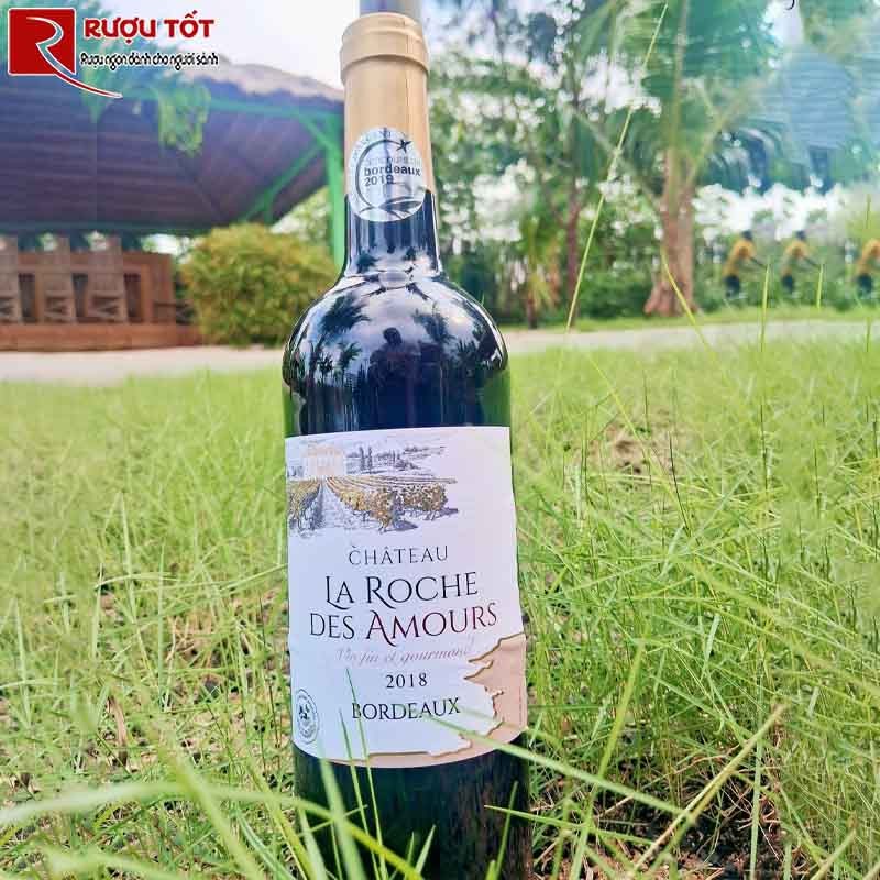 Chateau La Roche des Amours