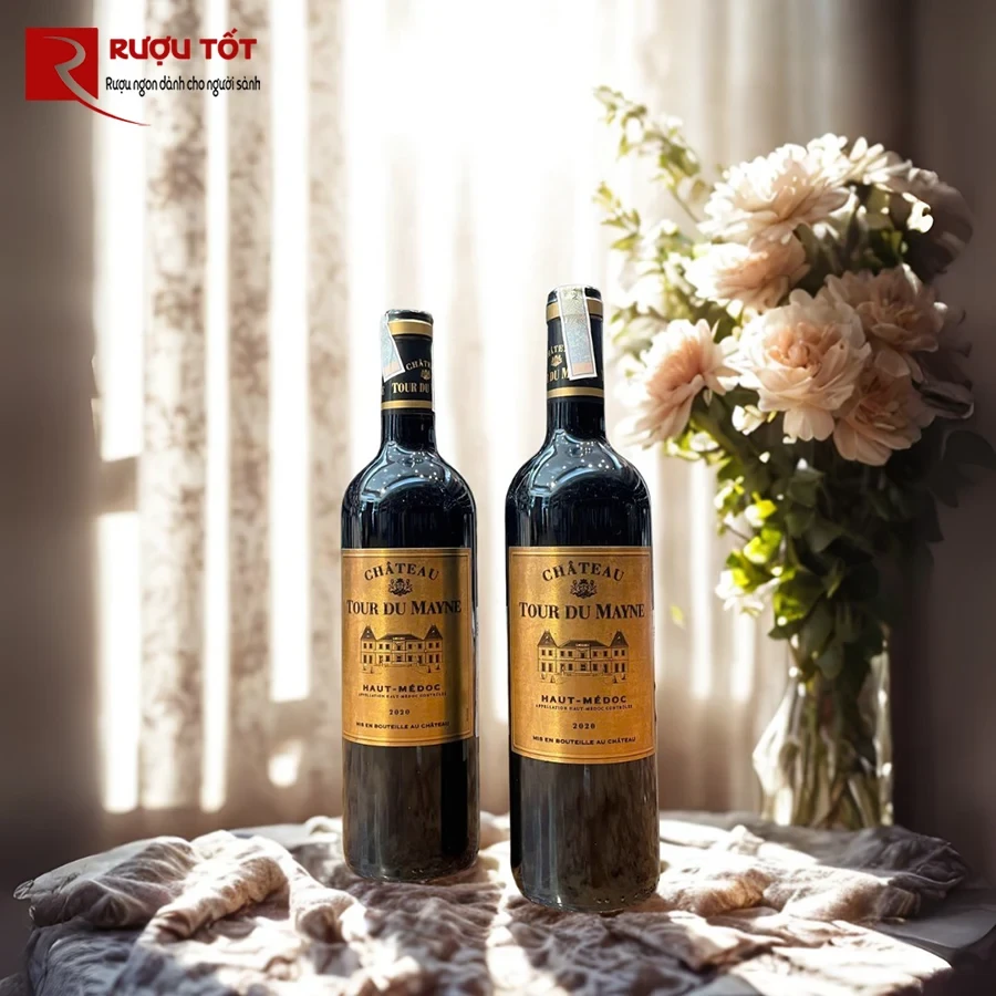 chateau tour de mayne