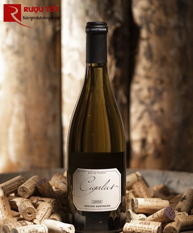 cigalus gerard bertrand