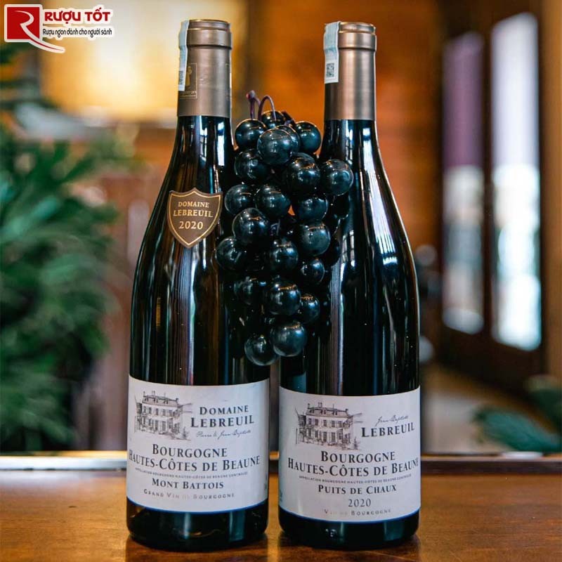Domaine Lebreuil Bourgogne Hautes Cotes De Beaune Red White
