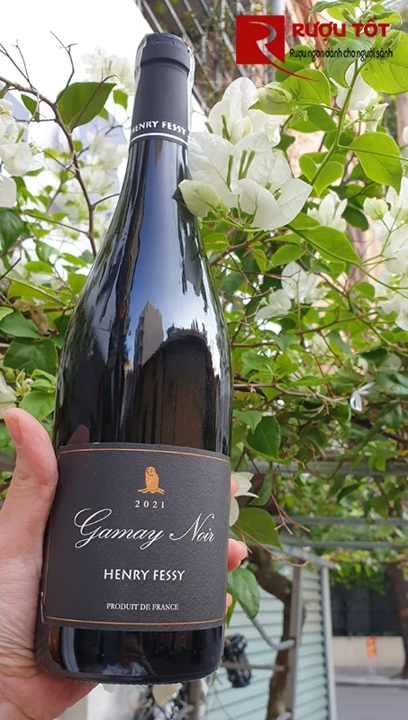 gamay noir henry fessy