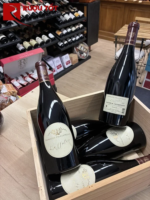 l affutee domaine filliatreau saumur champigny