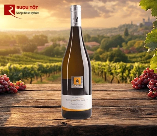 Muscadet Sevre Et Maine Sur Lie