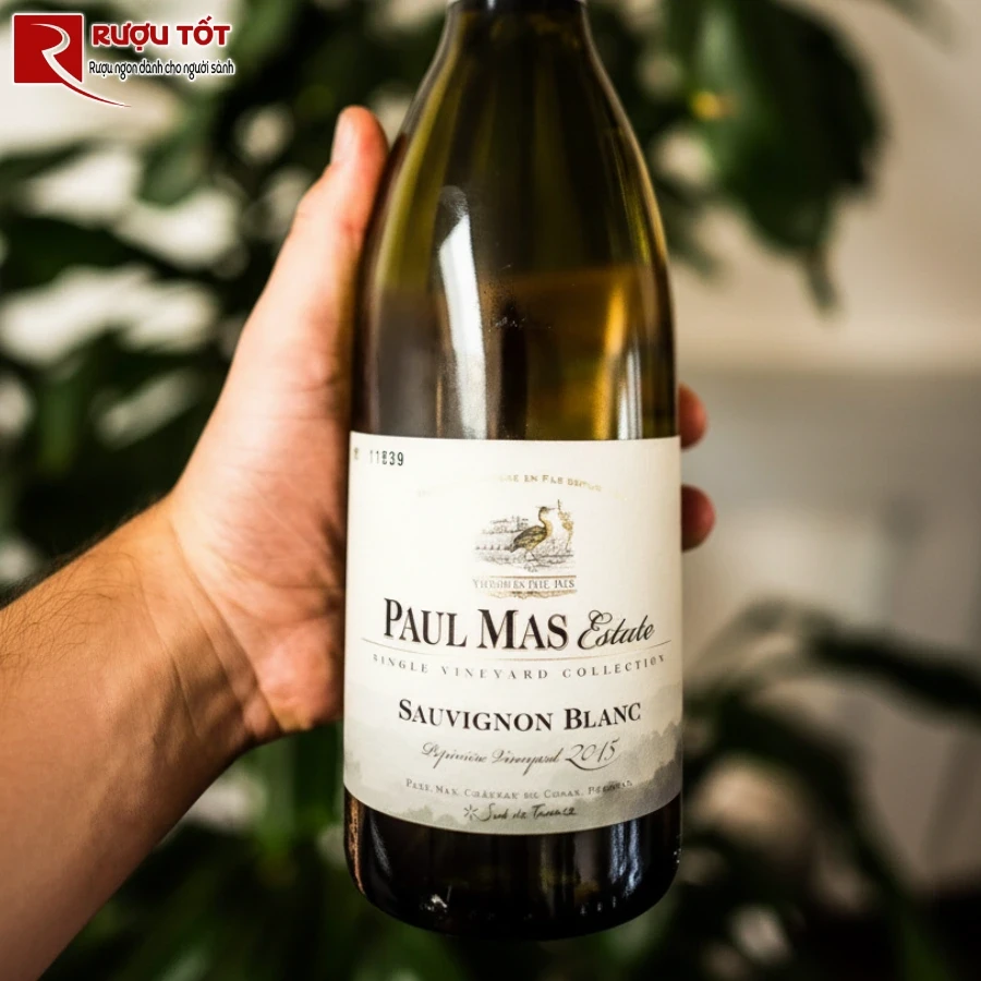 paul mas estate uy tin