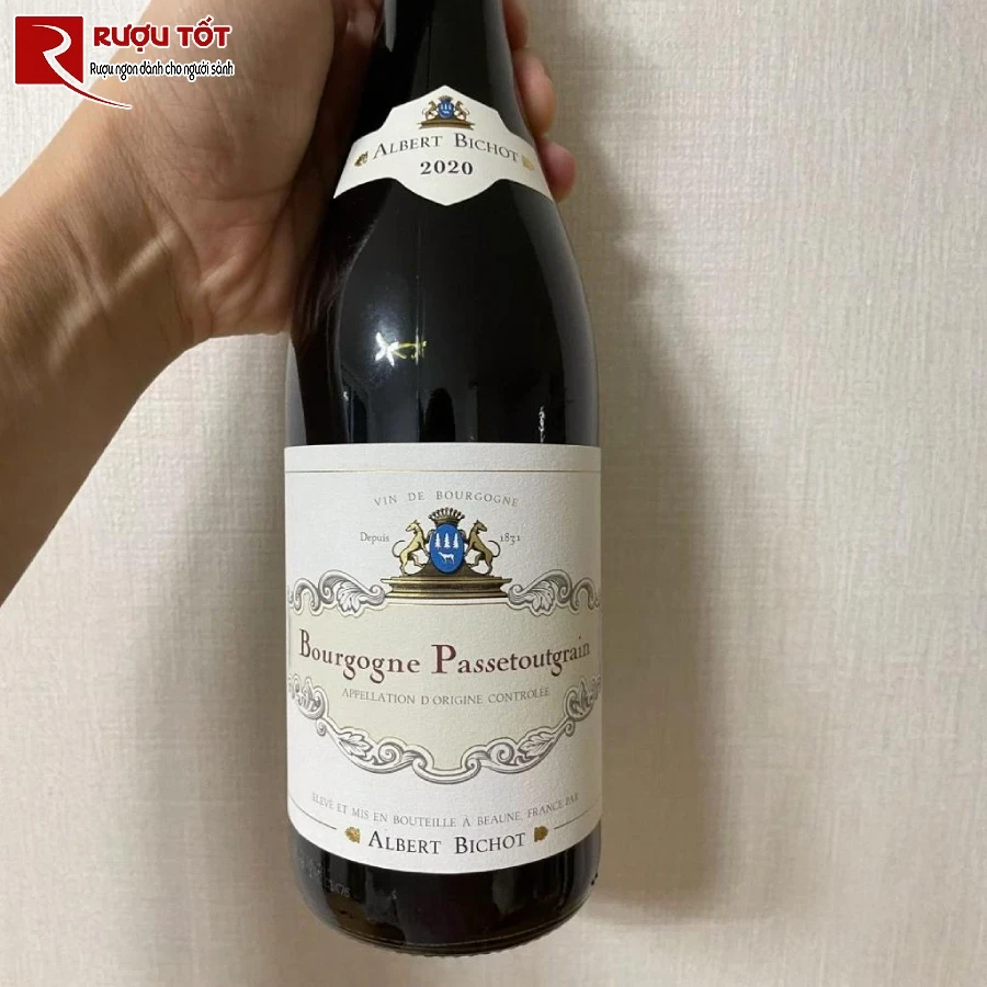ruou albert bichot bourgogne passetoutgrain hao hang