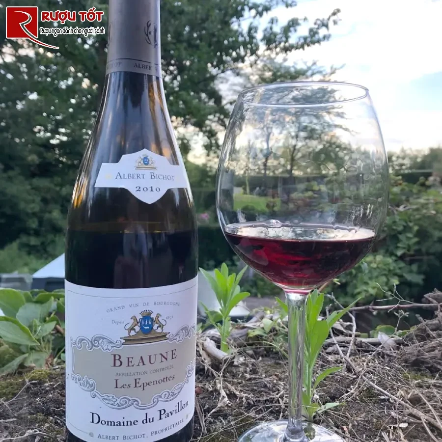 ruou albert bichot domaine du pavillon beaune les epenottes