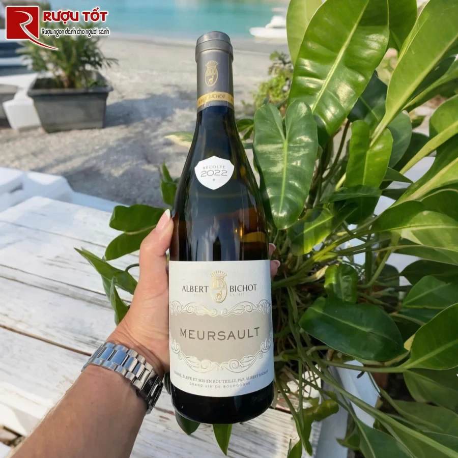 ruou albert bichot domaine du pavillon meursault ngon