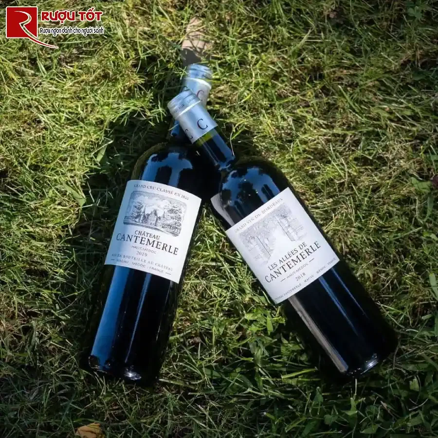 ruou allees de cantemerle haut medoc
