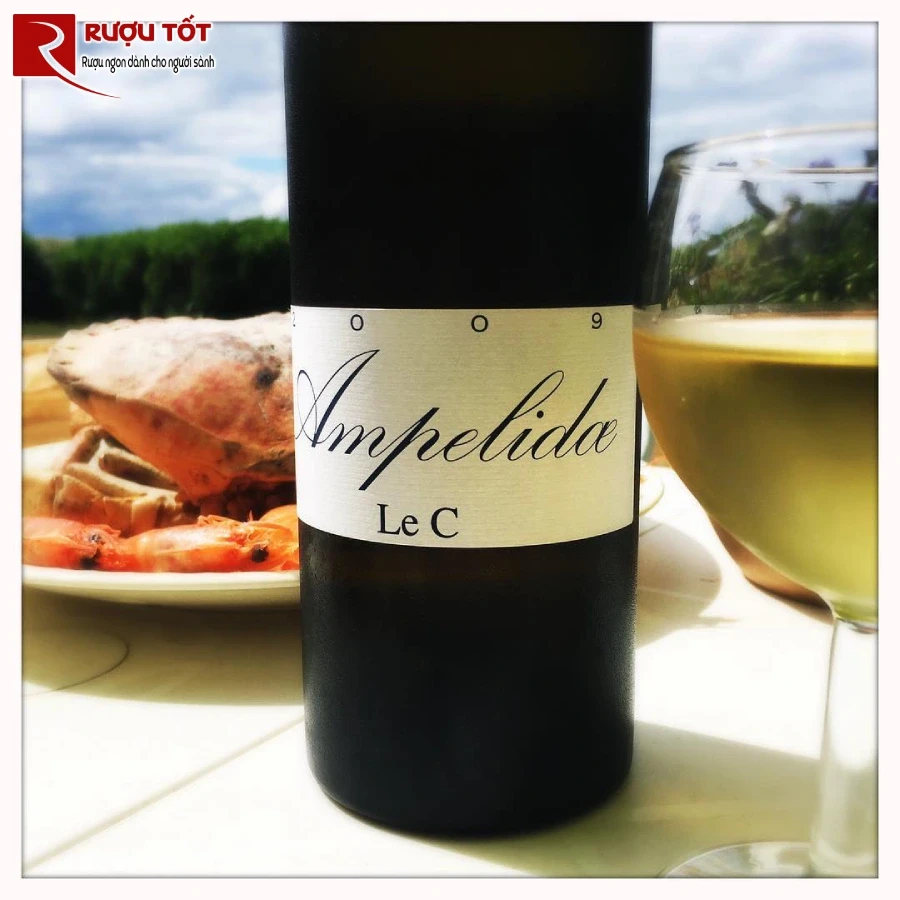 ruou ampelidae le c chardonnay