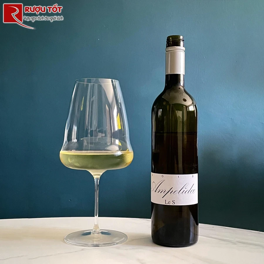 ruou ampelidae le s sauvignon