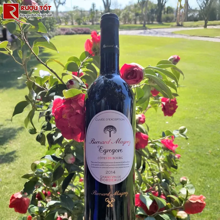 ruou bernard magrez egregore bordeaux 750ml 14%