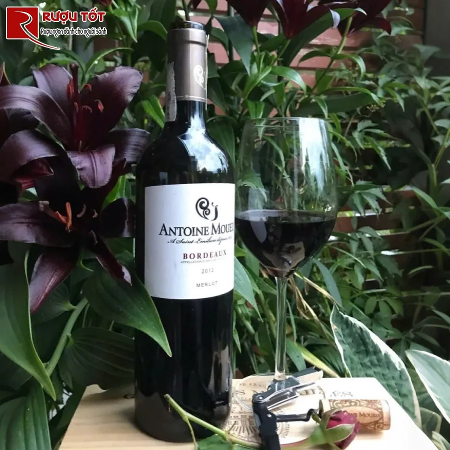 ruou bordeaux antoine moueix 750ml hao hang phap