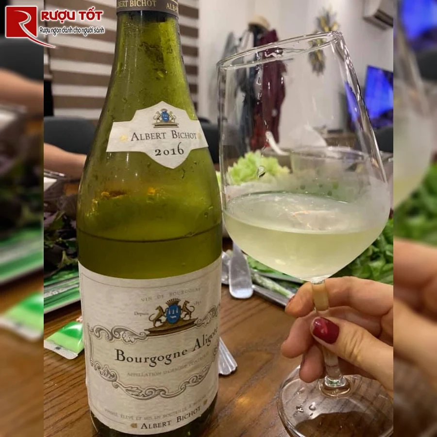 ruou bourgogne aligote albert bichot