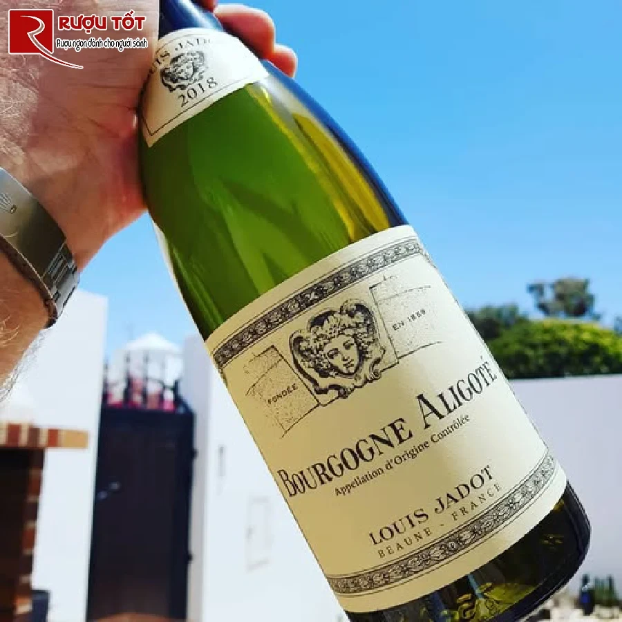 ruou bourgogne aligote louis jadot