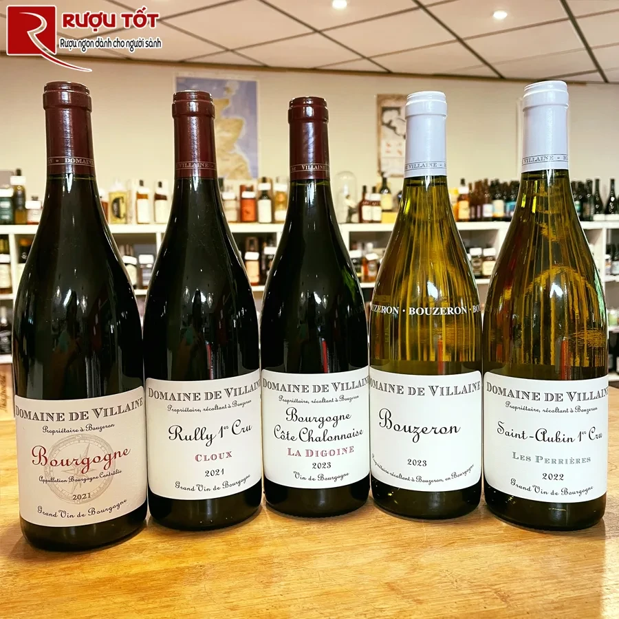 Rượu Bourgogne Cote Chalonnaise La Fortune