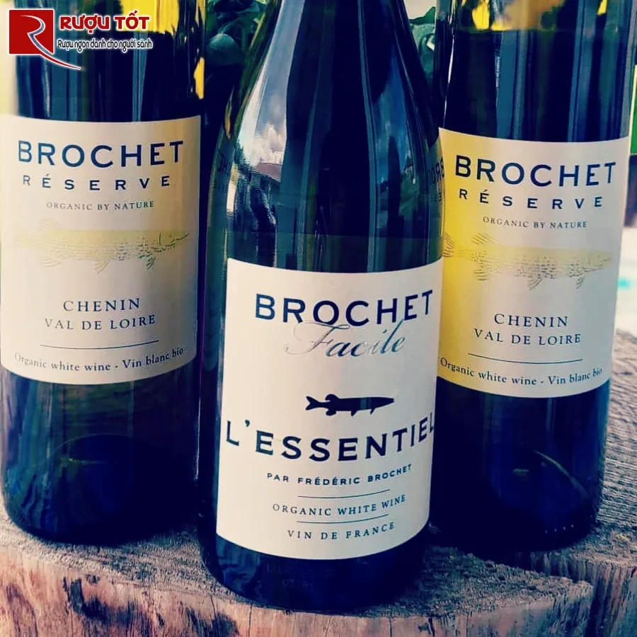 ruou brochet facile l essentiel white