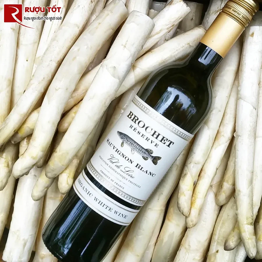 ruou brochet reserve sauvignon blanc 12,5% 750ml hao hang