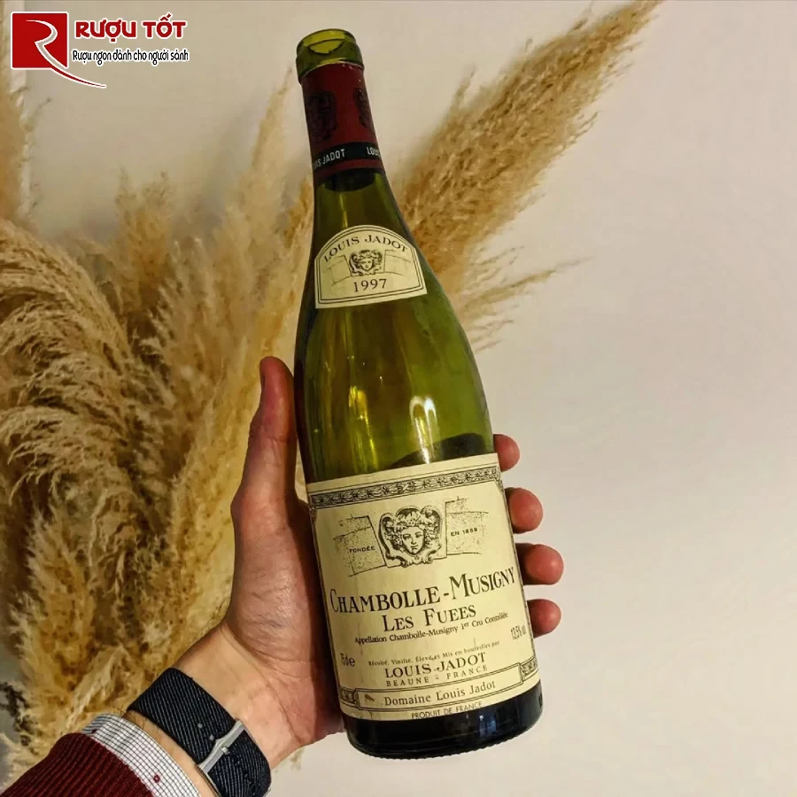 ruou chambolle musigny les fuees louis jadot chat luong cao