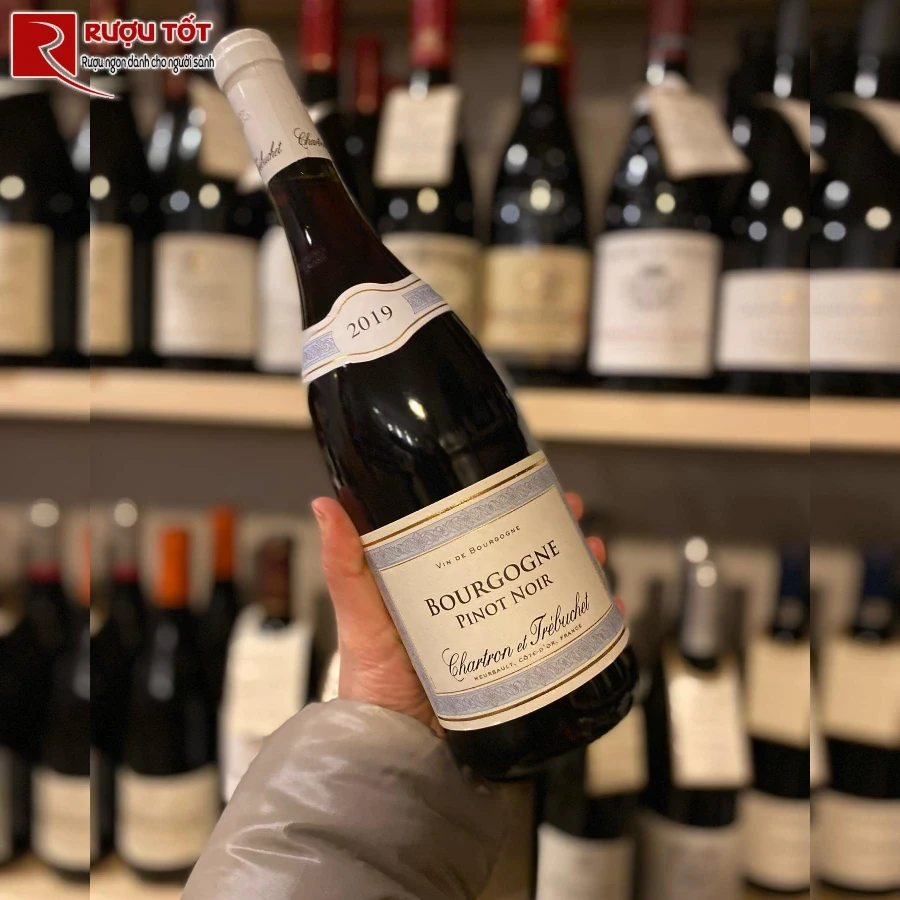 ruou chartron et trebuchet bourgogne pinot noir