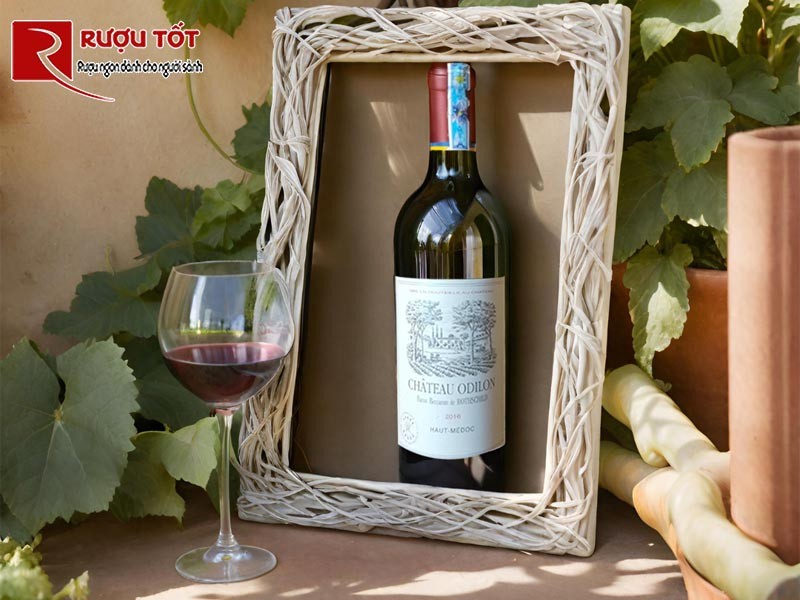 Rượu Chateau Odilon