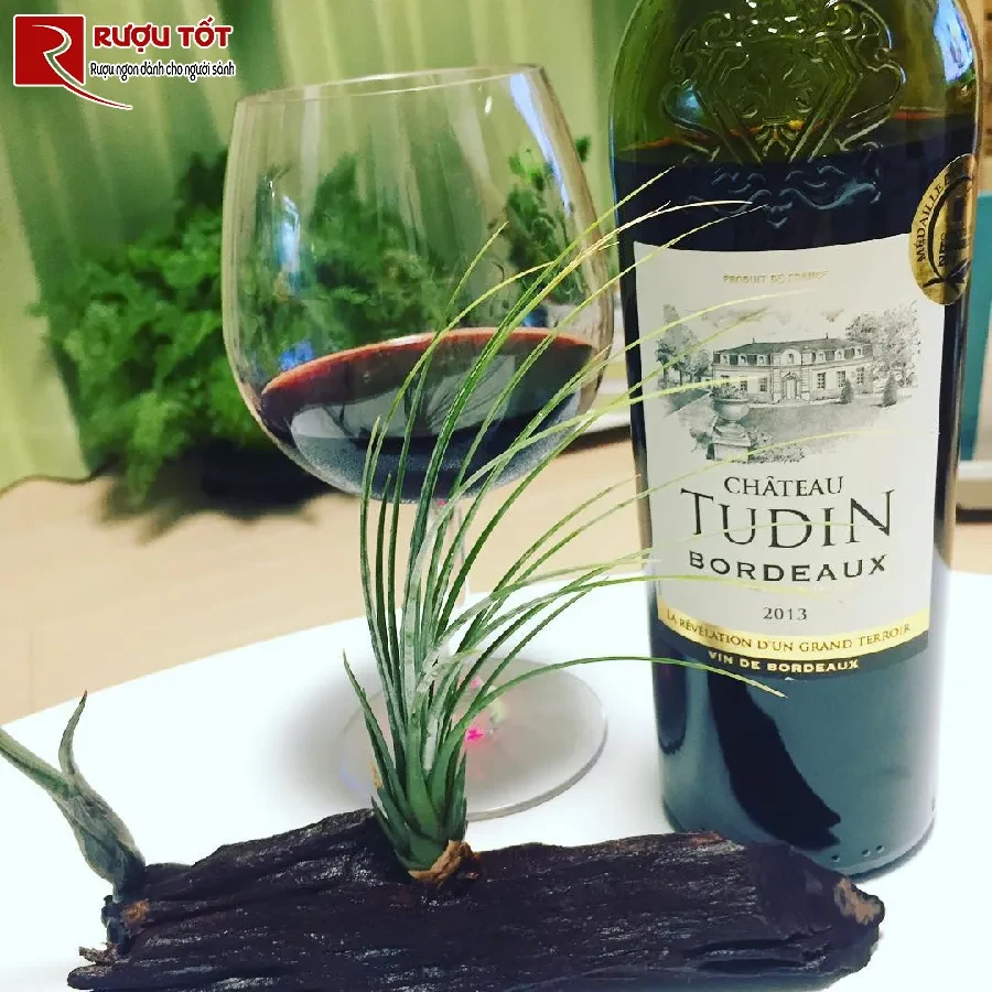 ruou chateau tudin bordeaux